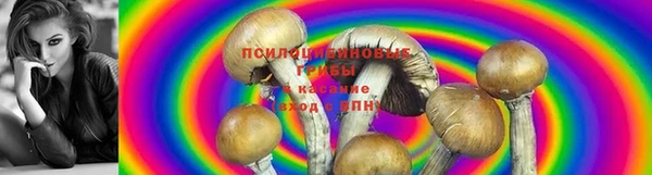 индика Балахна